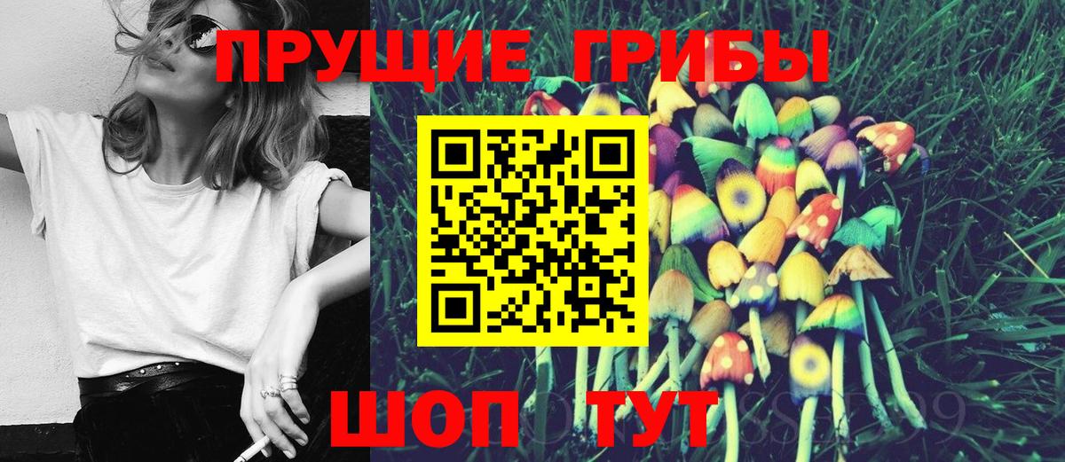 Псилоцибиновые грибы прущие грибы Котлас