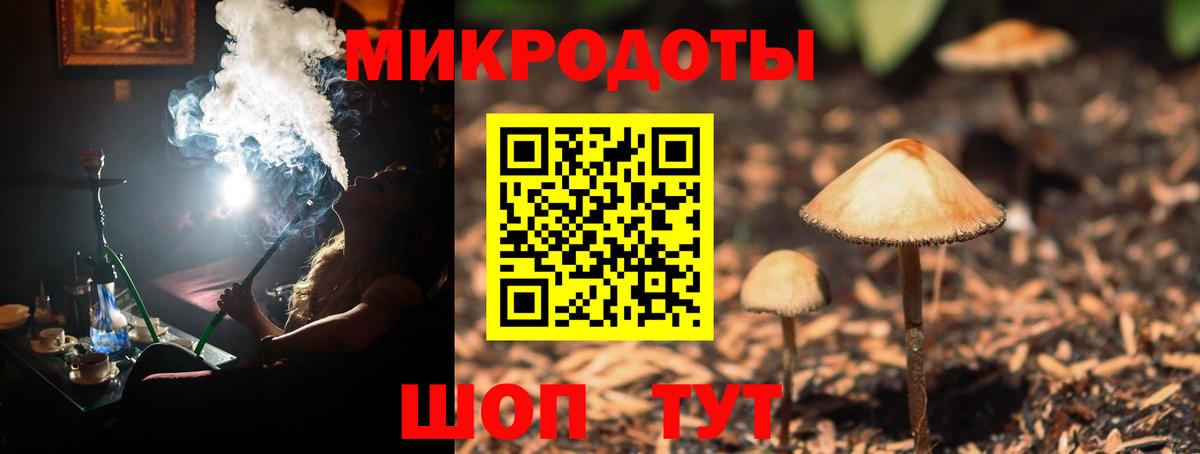 Котлас  Галлюциногенные грибы Psilocybine cubensis  Псилоцибиновые грибы MAGIC MUSHROOMS  Вход с VPN 